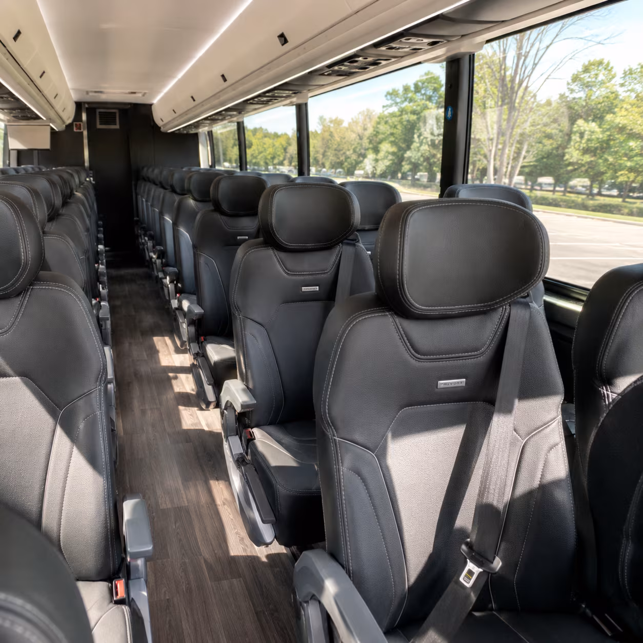 bayonne charter bus